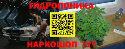 каннабис Кунгур