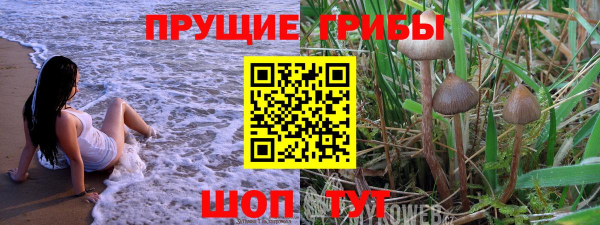 купить наркотики сайты  Вход с VPN  Жуковский  Псилоцибиновые грибы ЛСД  Галлюциногенные грибы прущие грибы 
