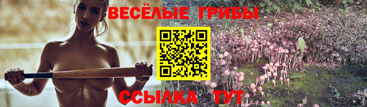 Галлюциногенные грибы Psilocybe Жуковский